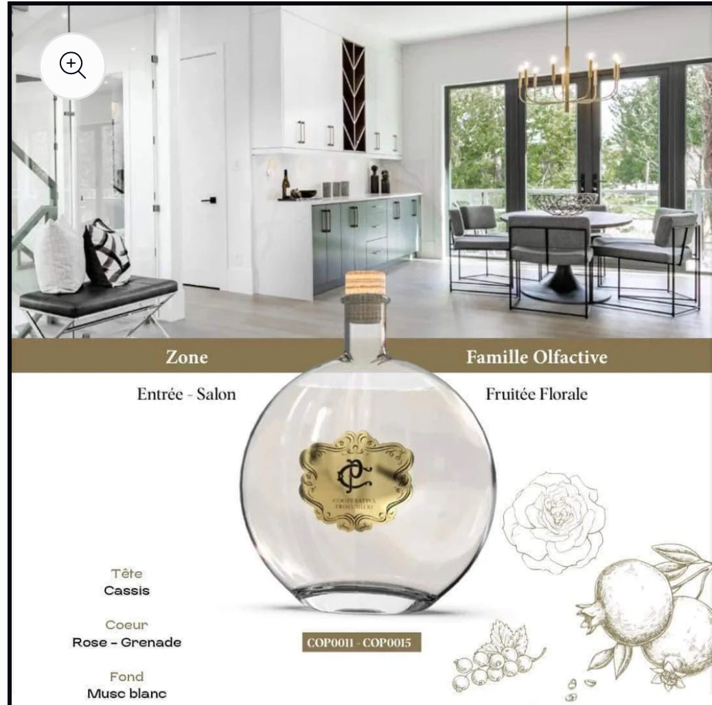 DIFFUSSEUR POUR MAISON